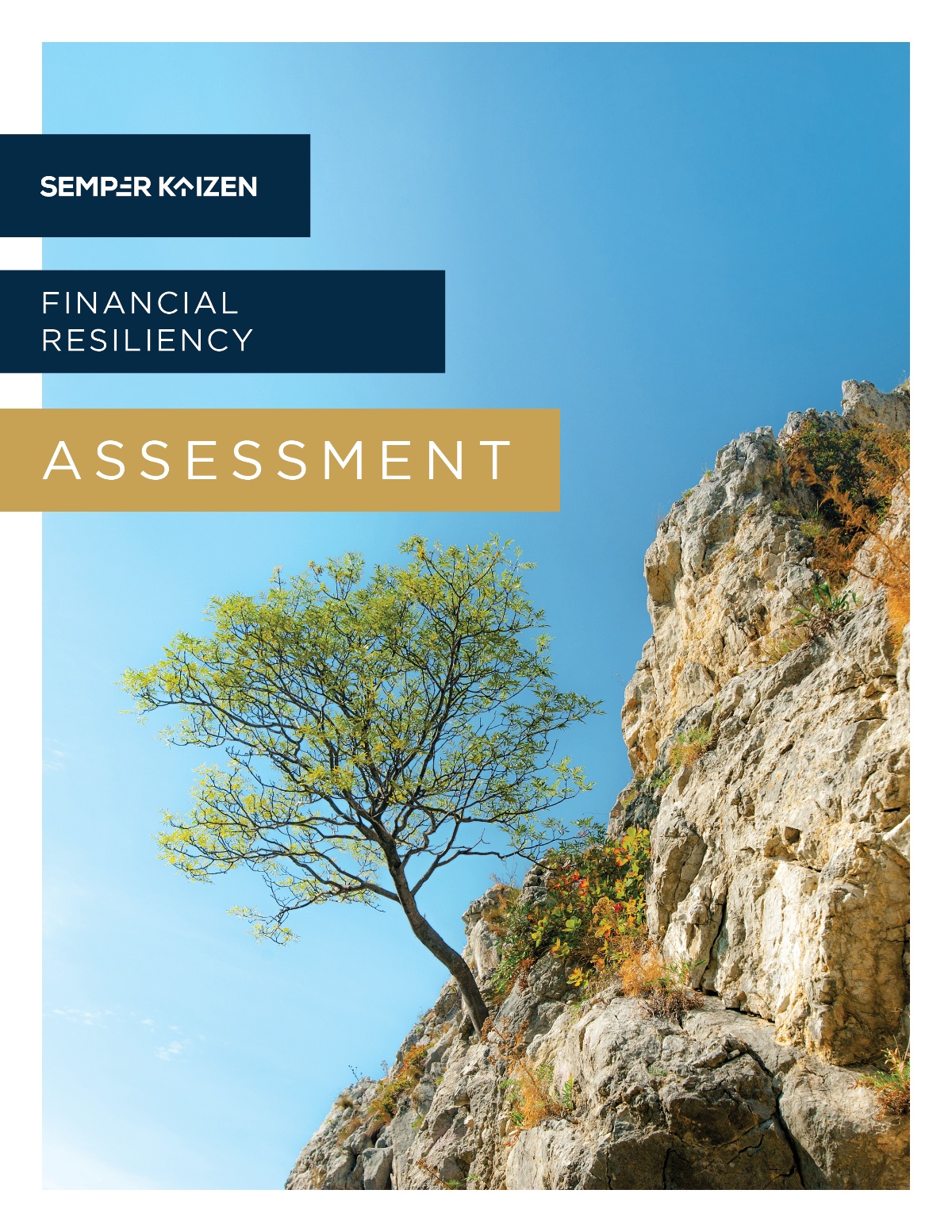 Financial Resiliency Assessment | Semper Kaizen